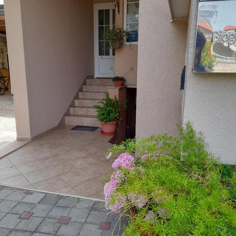 Apartments Filipovic Биоград-на-Мору Экстерьер фото